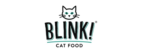 Blink logo